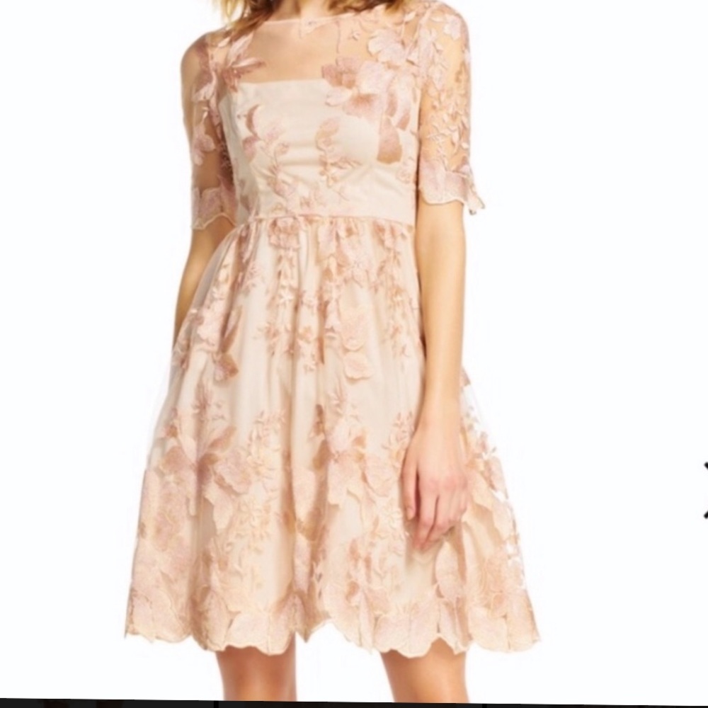 Adriana Papell Blush Embroidered Party Dress